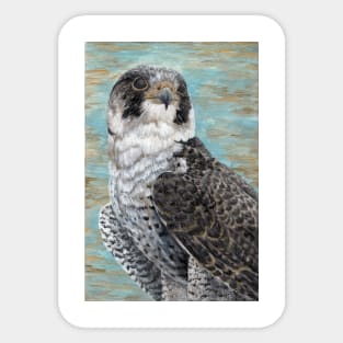 The Guardian - Peregrine Falcon Sticker